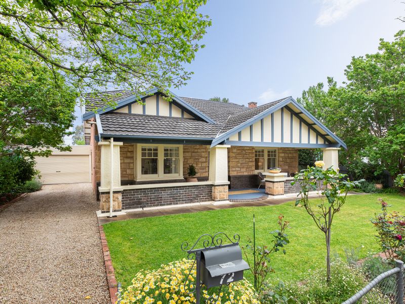 Bungalows of Westbourne Park Mitcham Plains Action Group